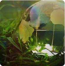 Wanma Tecnologia Co., Ltd.